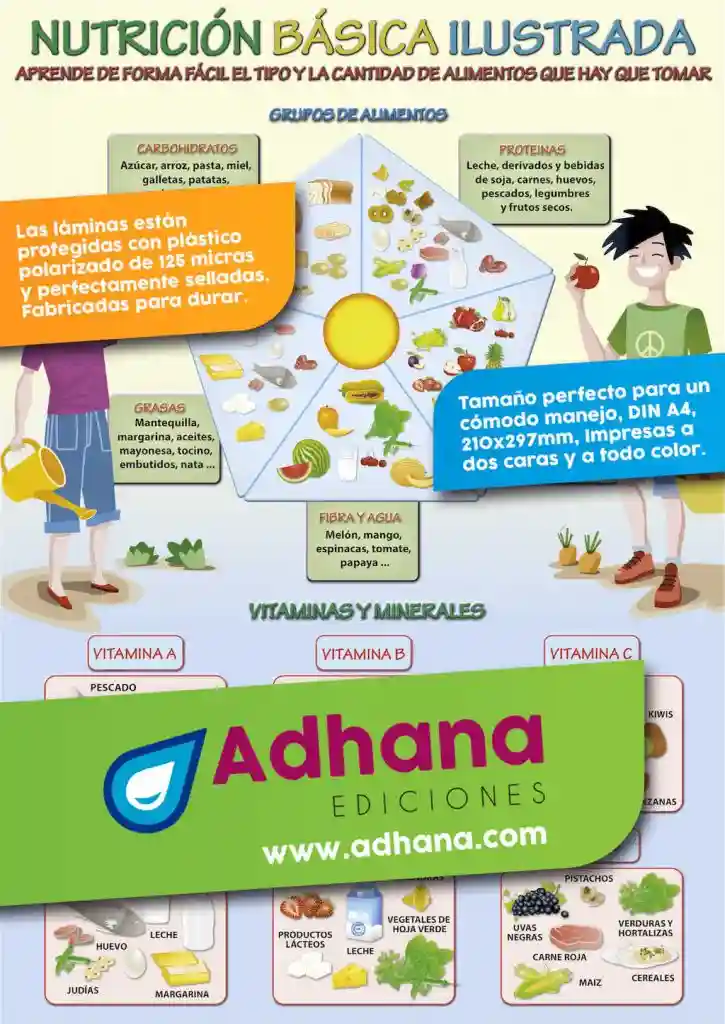 LÁmina De NutriciÓn BÁsica Ilustrada Adhana Láminas Y Póster Educativos Para Alumnos Y Profesores 6481